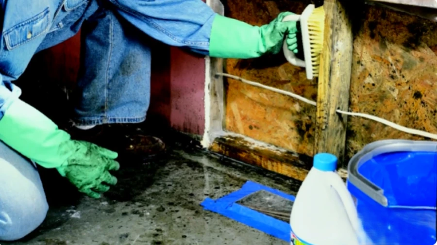 Residential mold removal Houston
