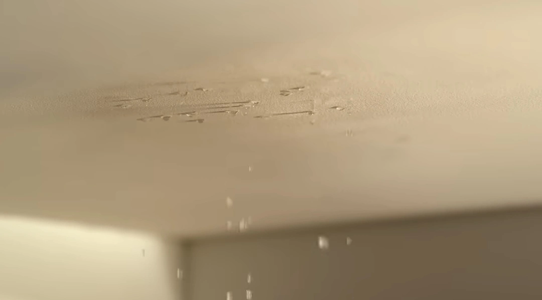 Water damage and mold removal in progress in a Houston home